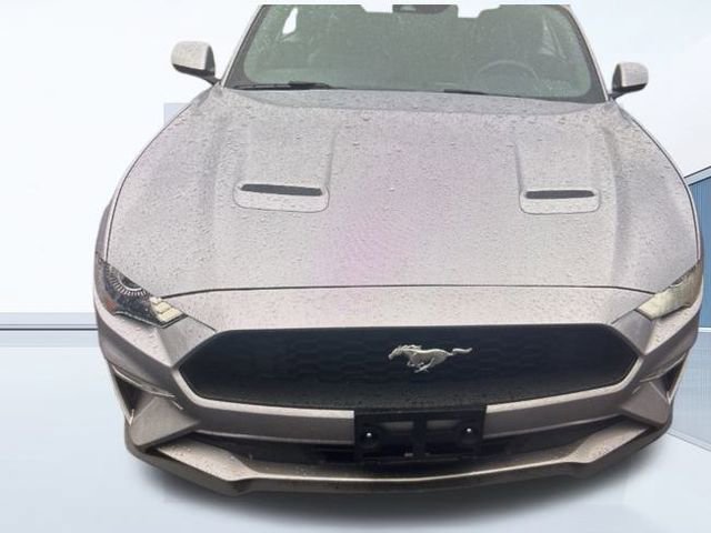 Certified 2023 Ford Mustang Premium image 14