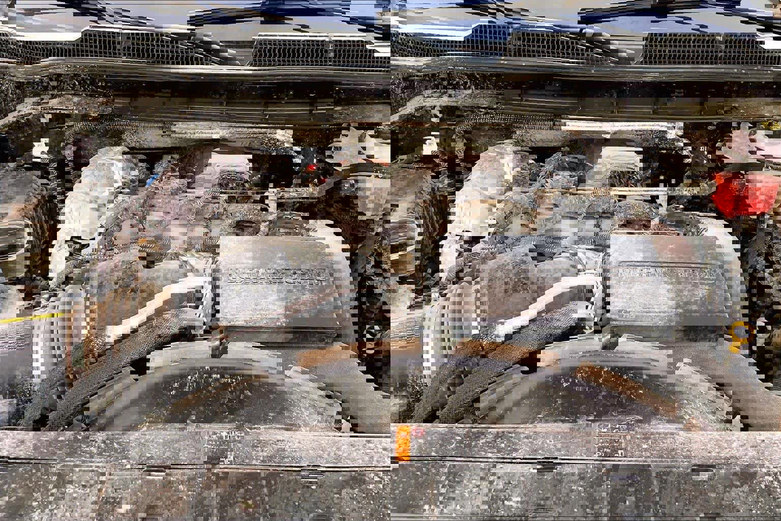 Used 2025 Chevrolet Silverado 2500 High Country w/ Technology Package image 31