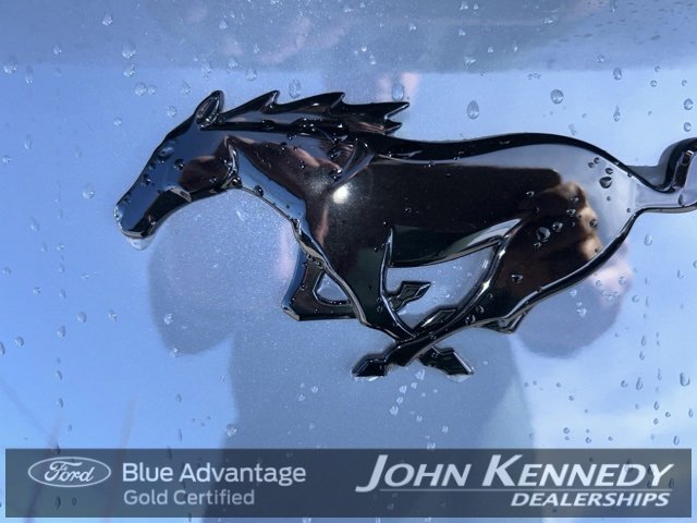 Certified 2025 Ford Mustang Coupe w/ Mustang Nite Pony Package image 11