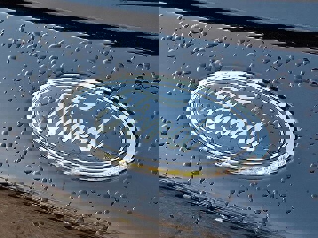 Certified 2020 Ford Escape Titanium image 22