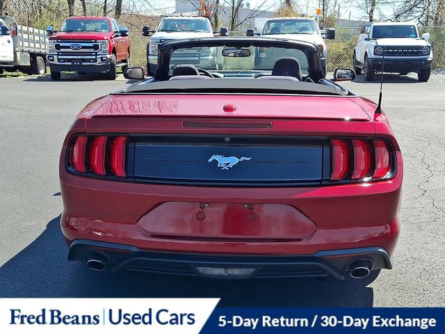 Certified 2019 Ford Mustang Convertible w/ Equipment Group 101A image 6