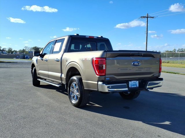 Certified 2023 Ford F150 XLT w/ Equipment Group 302A High image 4