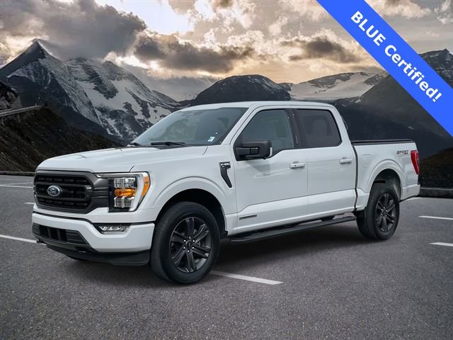 Certified 2023 Ford F150 XLT w/ Equipment Group 302A High