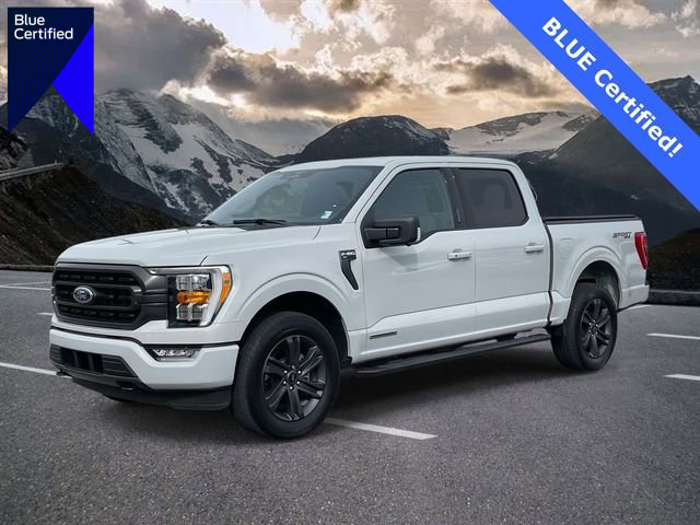 Certified 2023 Ford F150 XLT w/ Equipment Group 302A High image 1