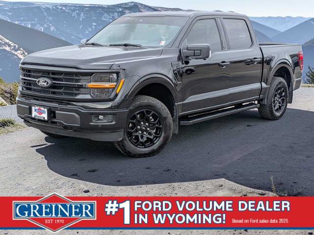 Certified 2024 Ford F150 XLT w/ Equipment Group 302A MID image 1