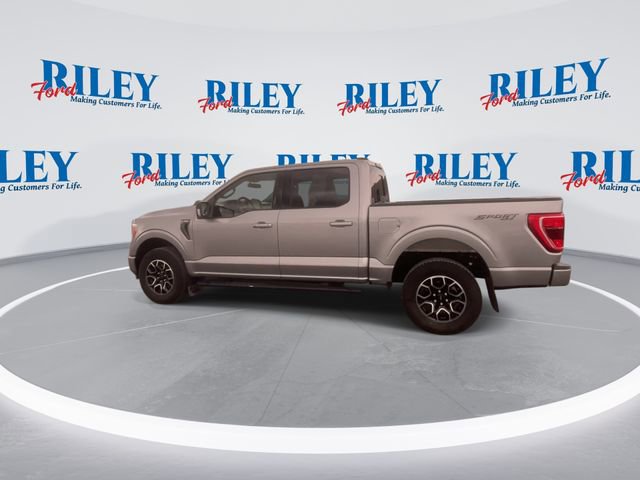 Certified 2023 Ford F150 XLT w/ Equipment Group 302A High AWD/4WD image 5