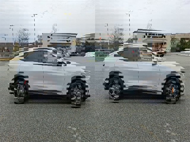 Certified 2021 Ford Mustang Mach-E Select image 11