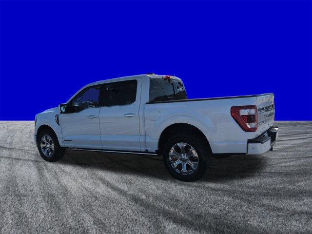 Certified 2022 Ford F150 Platinum w/ Equipment Group 701A High RWD image 6