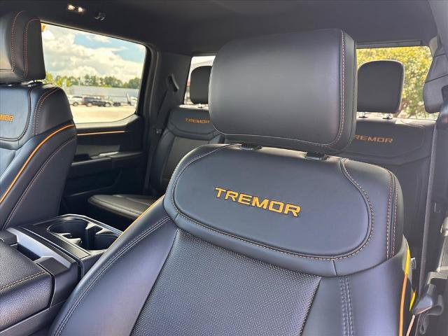Certified 2025 Ford F150 Tremor w/ Equipment Group 402A High AWD/4WD image 19