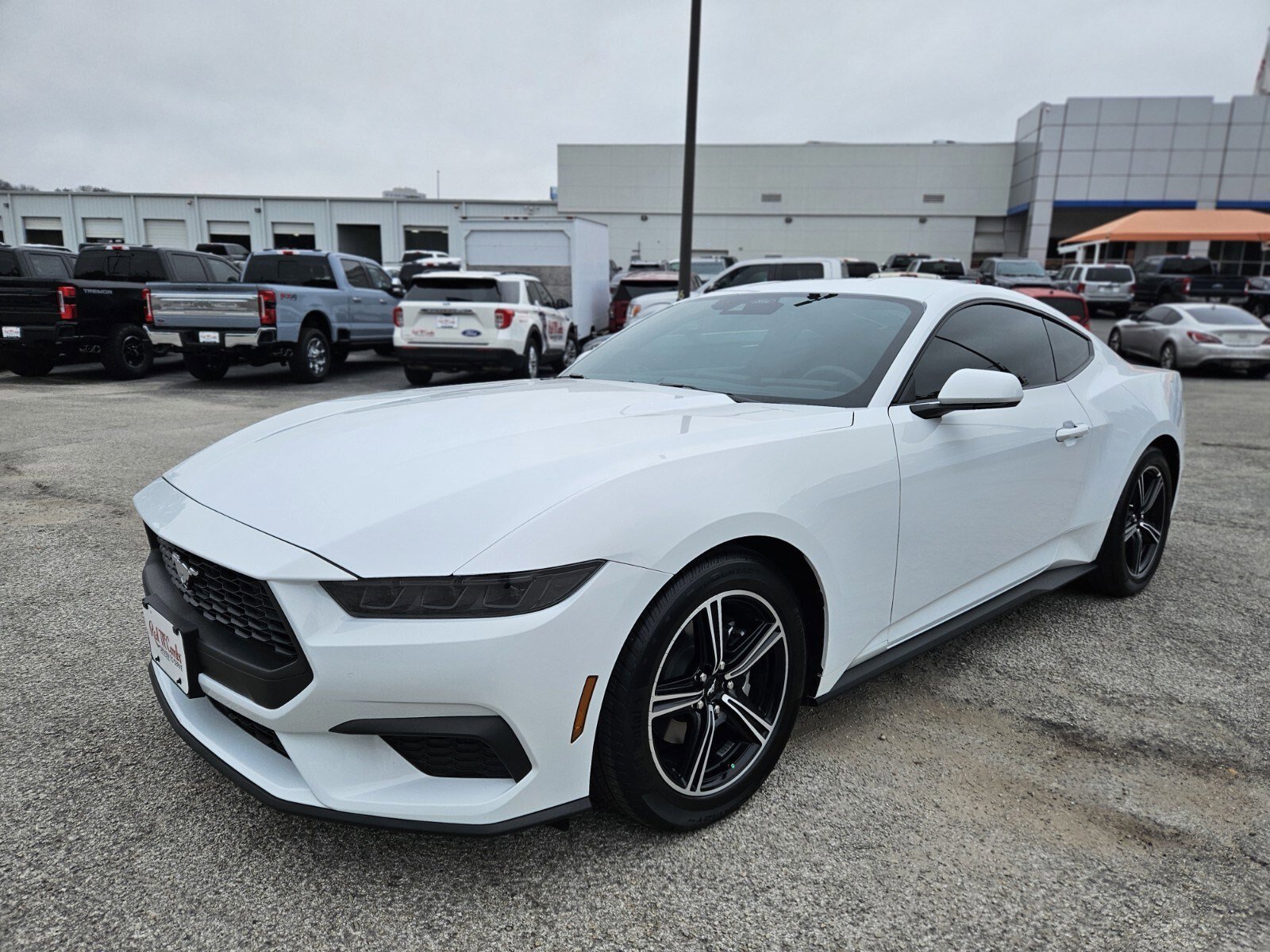 Certified 2025 Ford Mustang EcoBoost image 7