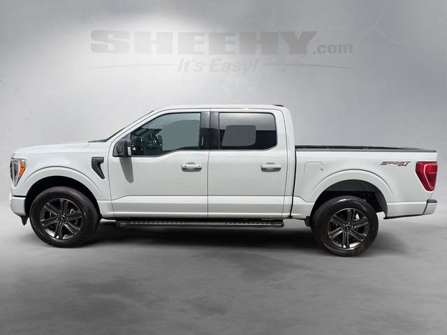 Certified 2023 Ford F150 XLT w/ Equipment Group 302A High AWD/4WD image 15