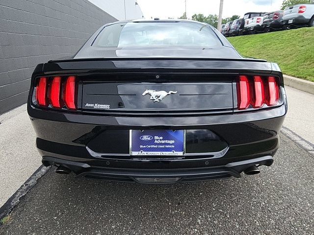 Certified 2019 Ford Mustang Premium RWD image 5