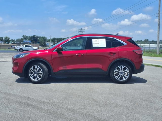 Certified 2022 Ford Escape SEL image 2