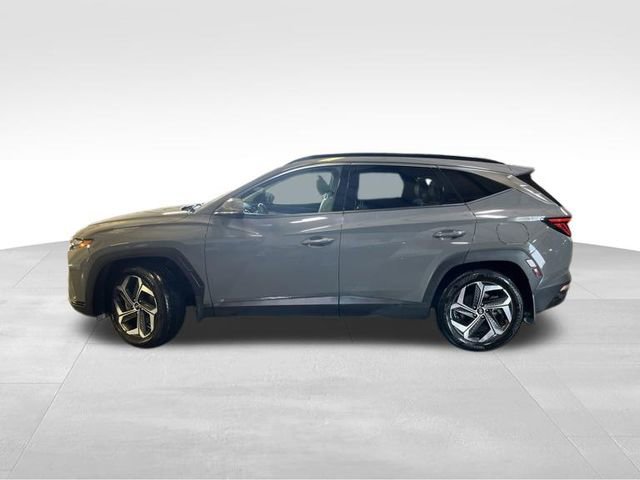 Used 2024 Hyundai Tucson Limited FWD image 4
