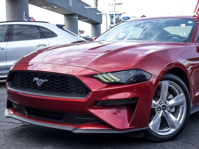 Certified 2019 Ford Mustang Premium w/ Equipment Group 201A RWD image 3
