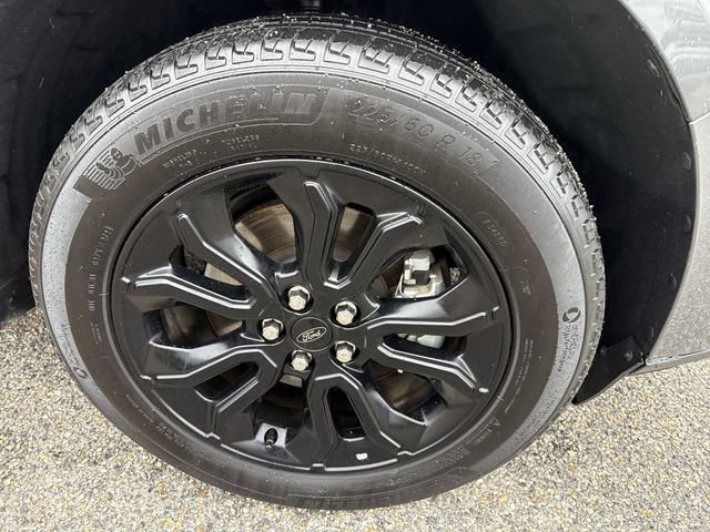 Certified 2024 Ford Maverick Lariat w/ Black Appearance Package image 17