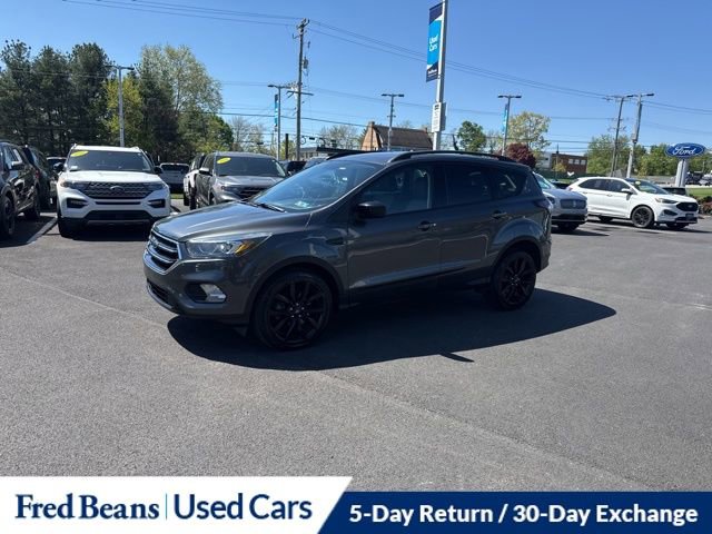 Certified 2017 Ford Escape SE w/ Equipment Group 201A AWD/4WD image 3