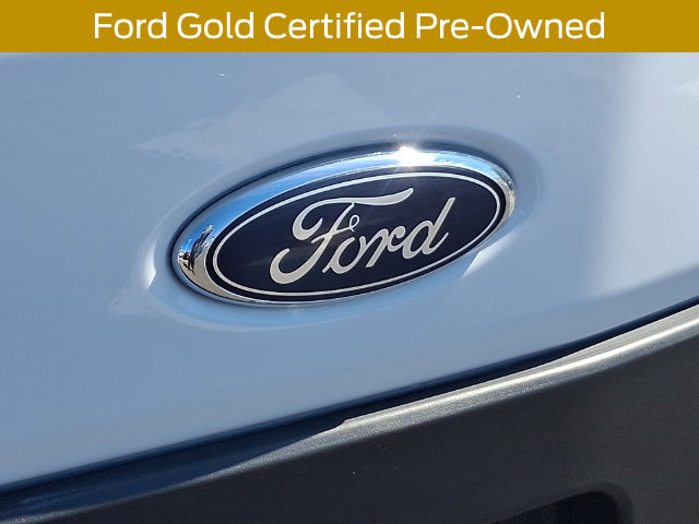 Certified 2025 Ford Transit 250 Low Roof w/ Exterior Upgrade Package RWD image 32