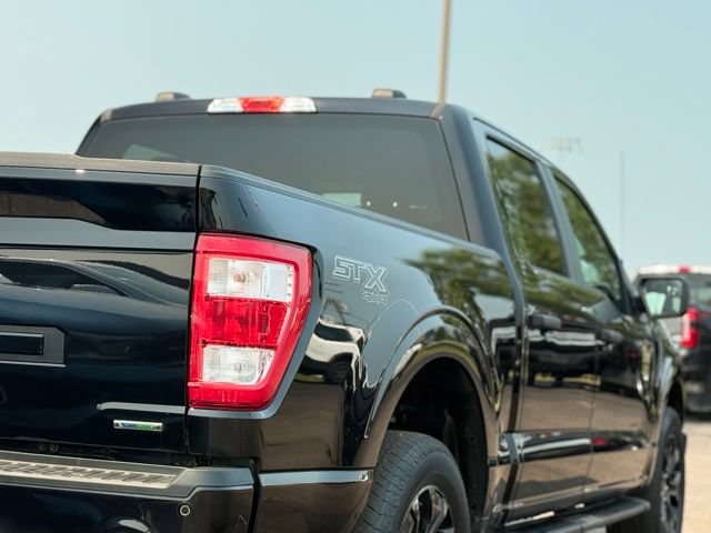 Certified 2023 Ford F150 XL w/ STX Black Appearance Package AWD/4WD image 36