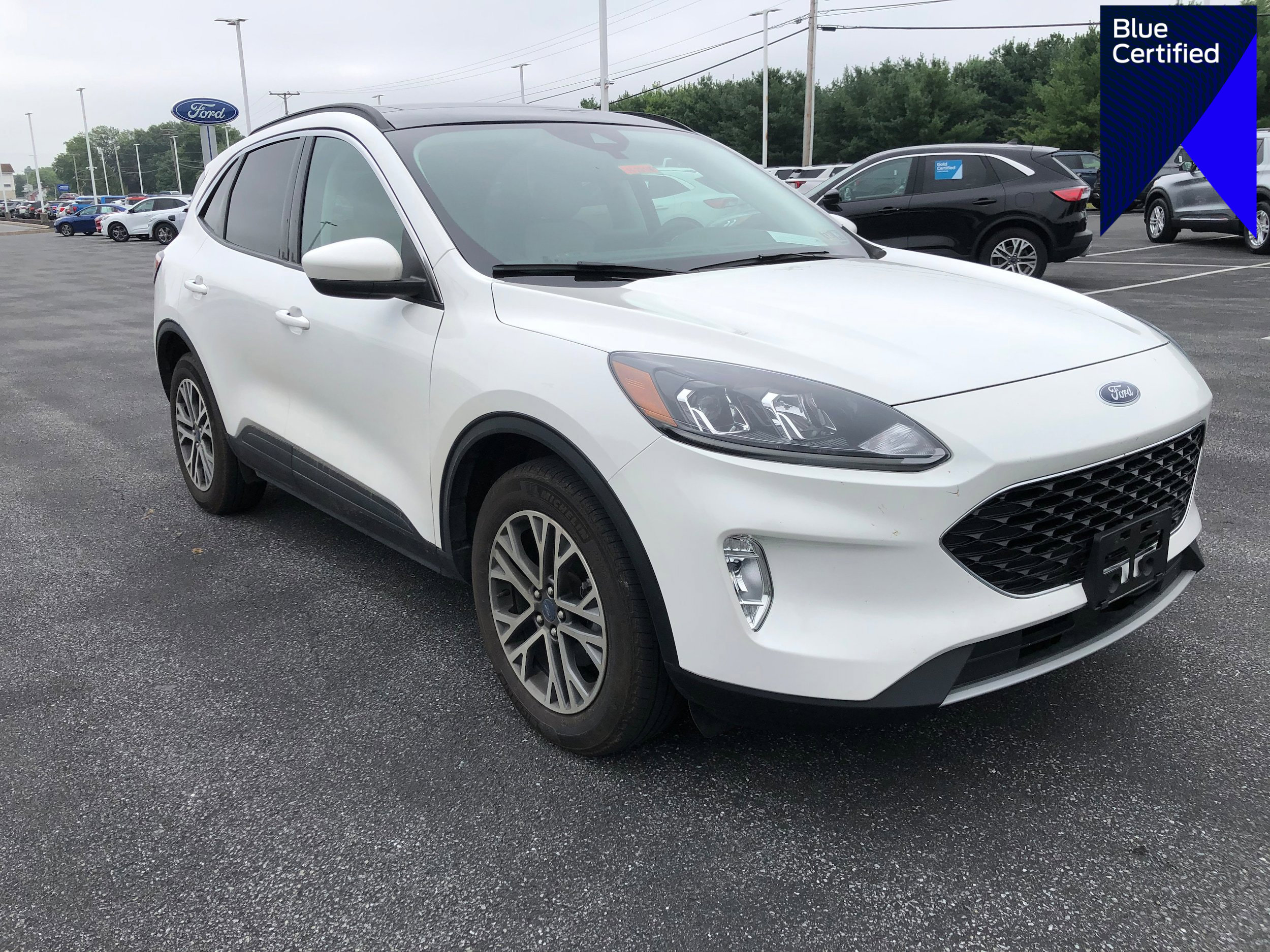 Certified 2022 Ford Escape SEL w/ Technology Package