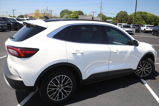 Certified 2025 Ford Escape SE w/ PHEV Premium Package FWD image 7