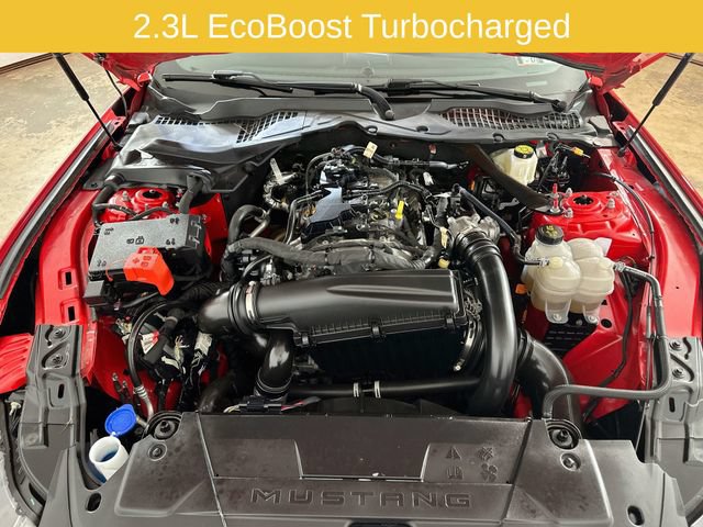 Certified 2024 Ford Mustang Premium RWD image 36