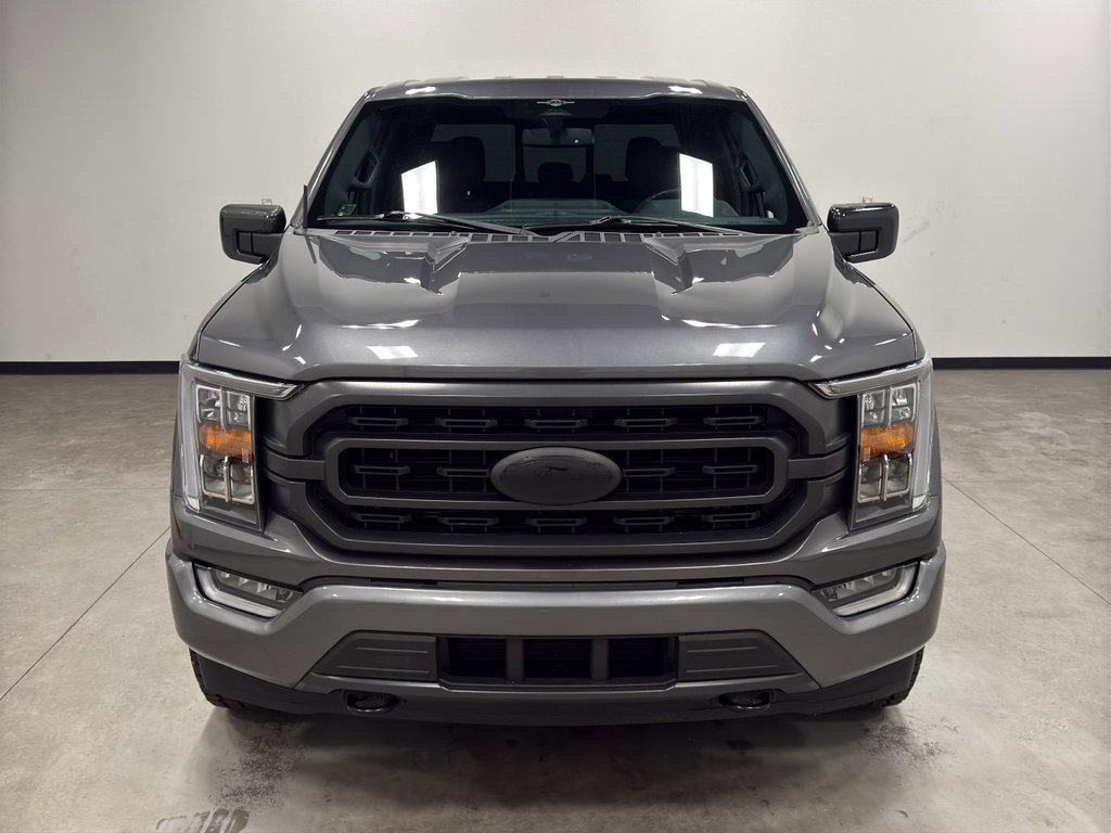 Certified 2023 Ford F150 XLT w/ Equipment Group 302A High image 3