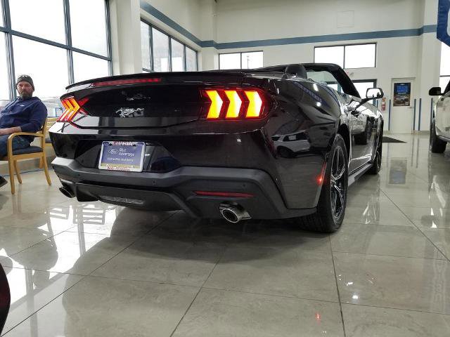 Certified 2024 Ford Mustang Premium image 3