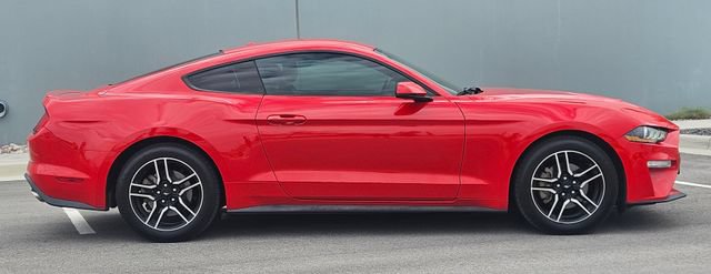 Certified 2019 Ford Mustang Premium RWD image 6