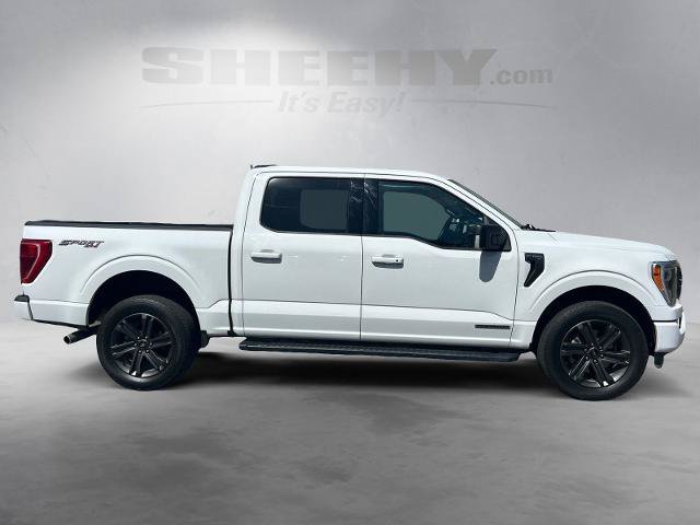 Certified 2023 Ford F150 XLT w/ Equipment Group 302A High AWD/4WD image 10
