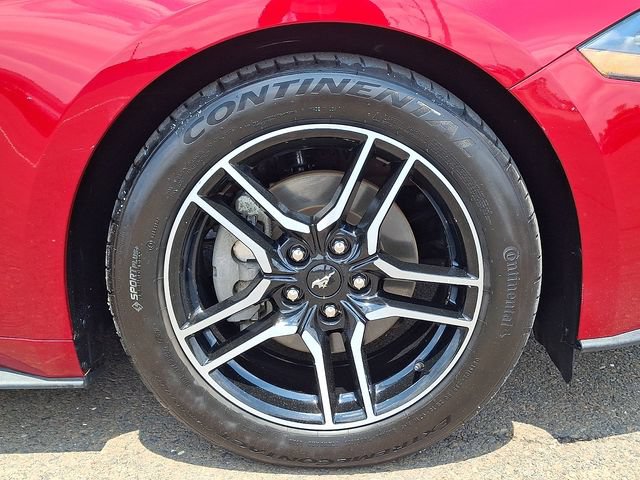Certified 2021 Ford Mustang Premium w/ Equipment Group 201A RWD image 8