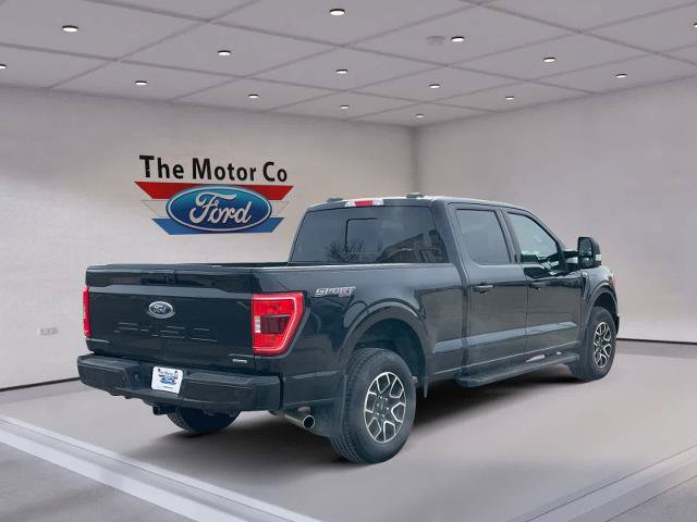 Certified 2023 Ford F150 XLT w/ Equipment Group 302A High AWD/4WD image 5