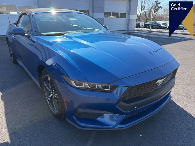 Certified 2024 Ford Mustang Premium image 1