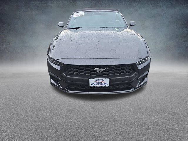 Certified 2024 Ford Mustang Premium RWD image 2
