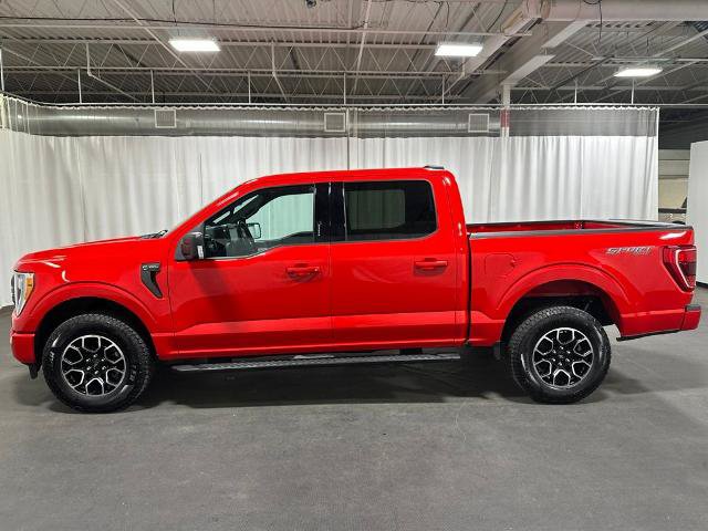 Certified 2021 Ford F150 XLT w/ Equipment Group 302A High AWD/4WD image 8