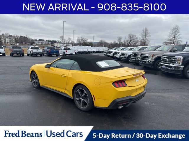 Certified 2024 Ford Mustang Premium image 6