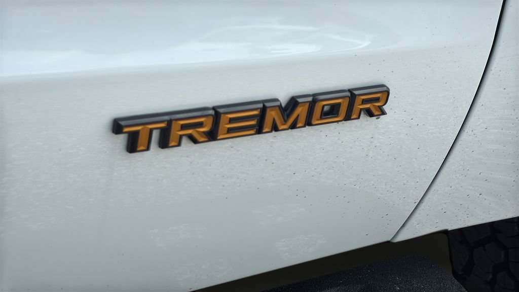 Certified 2025 Ford Expedition Tremor image 19
