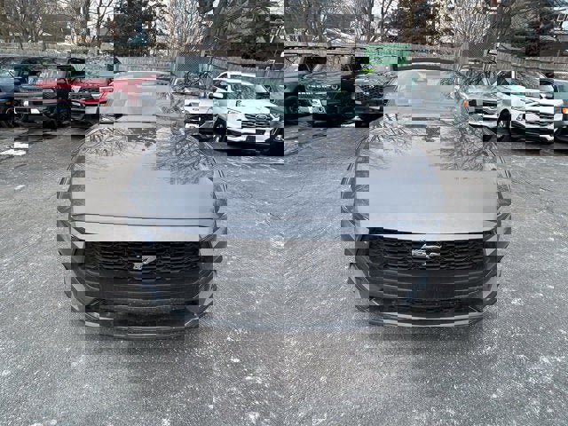 Certified 2024 Ford Mustang Premium image 10