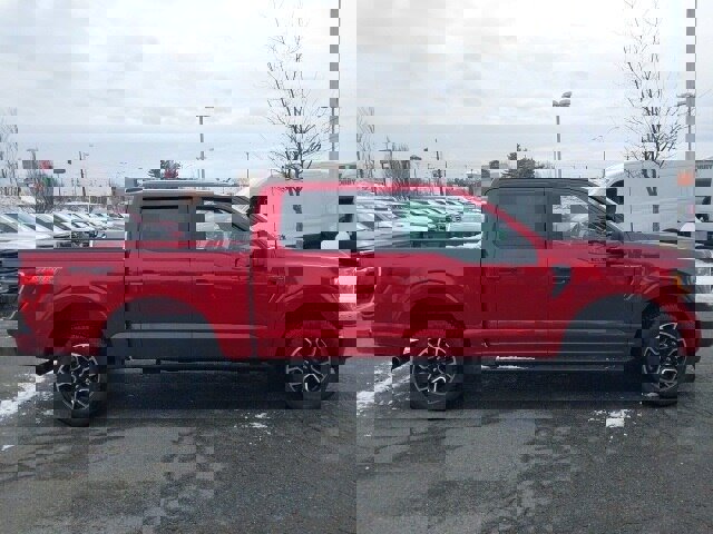 Certified 2022 Ford F150 XLT w/ Equipment Group 301A Mid image 9