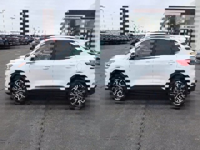 Certified 2022 Ford Escape SEL image 2