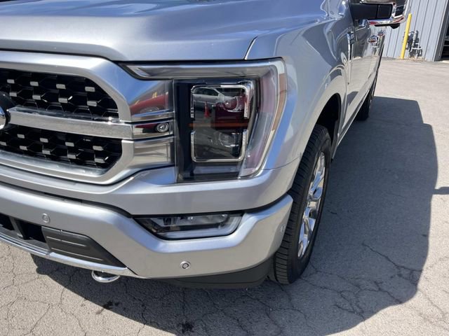 Certified 2023 Ford F150 Platinum w/ Equipment Group 701A High image 9