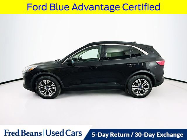 Certified 2020 Ford Escape SEL video 2
