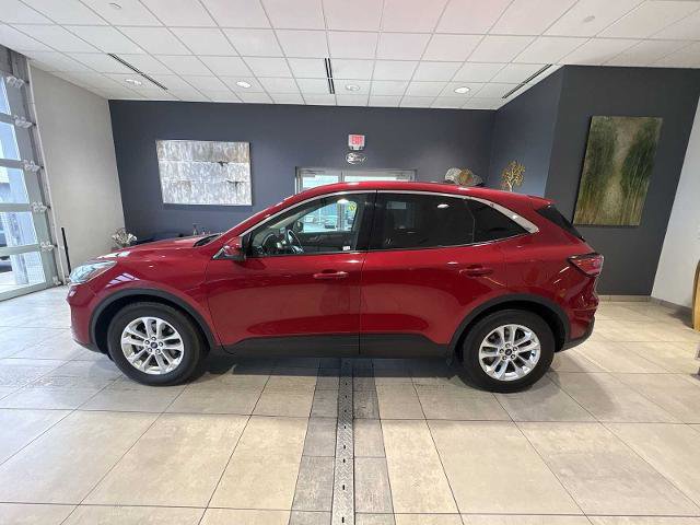 Certified 2020 Ford Escape SE image 6