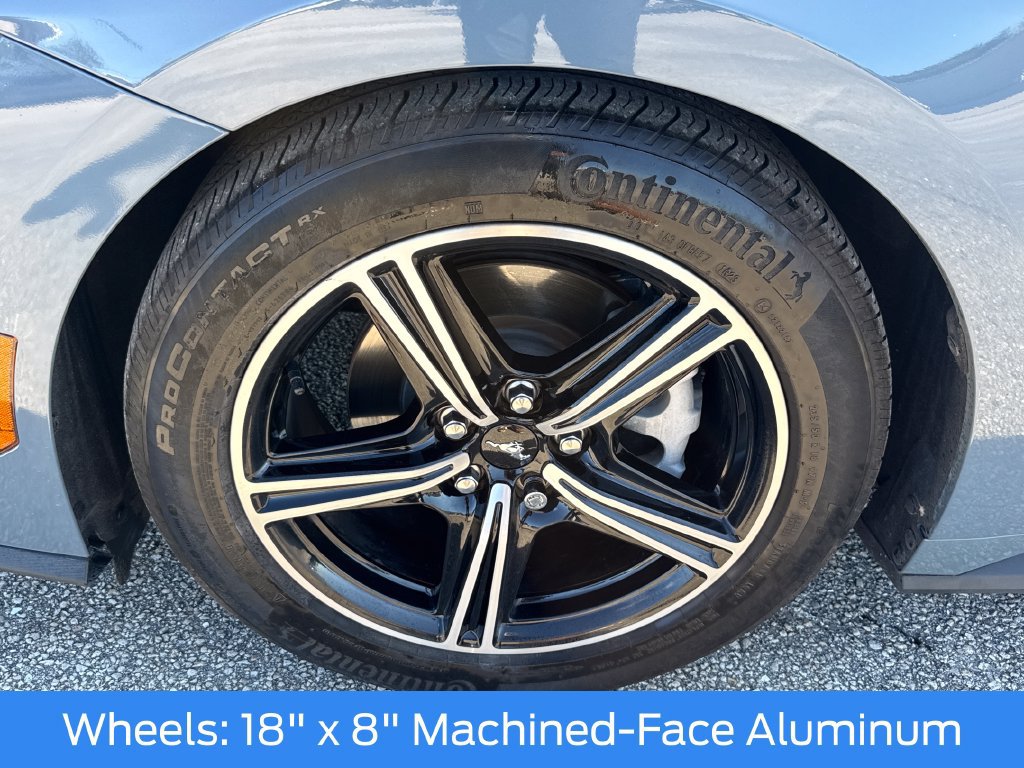 Certified 2024 Ford Mustang Premium RWD image 13