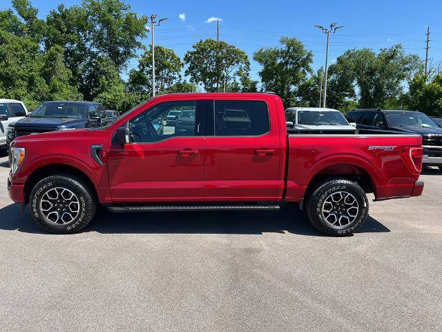 Certified 2021 Ford F150 XLT w/ Equipment Group 302A High AWD/4WD image 4