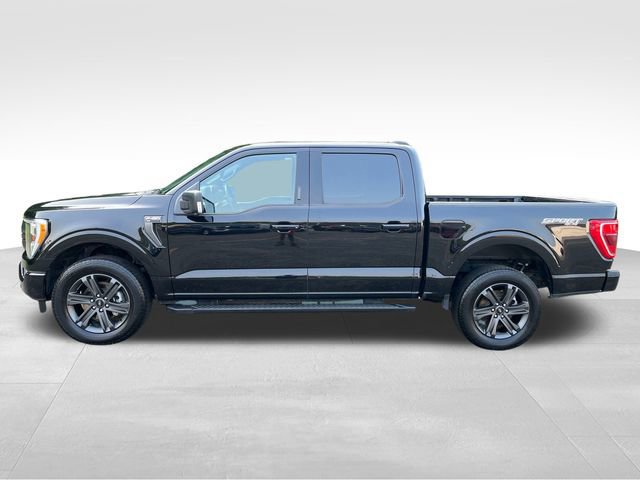 Certified 2023 Ford F150 XLT w/ Equipment Group 302A High image 6