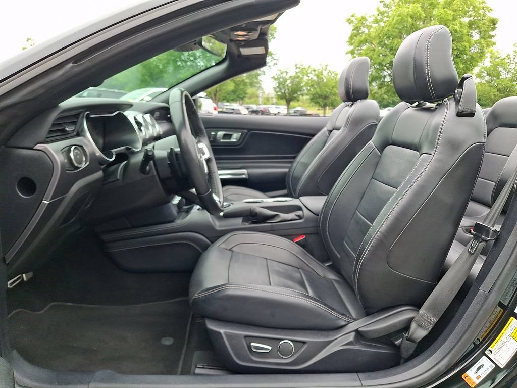 Certified 2019 Ford Mustang GT Premium w/ Equipment Group 401A RWD image 15