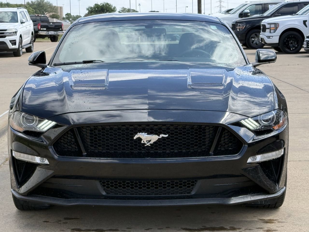 Certified 2019 Ford Mustang GT image 8
