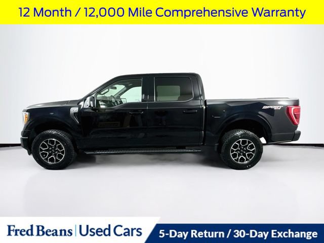 Certified 2023 Ford F150 XLT w/ Equipment Group 302A High AWD/4WD image 5