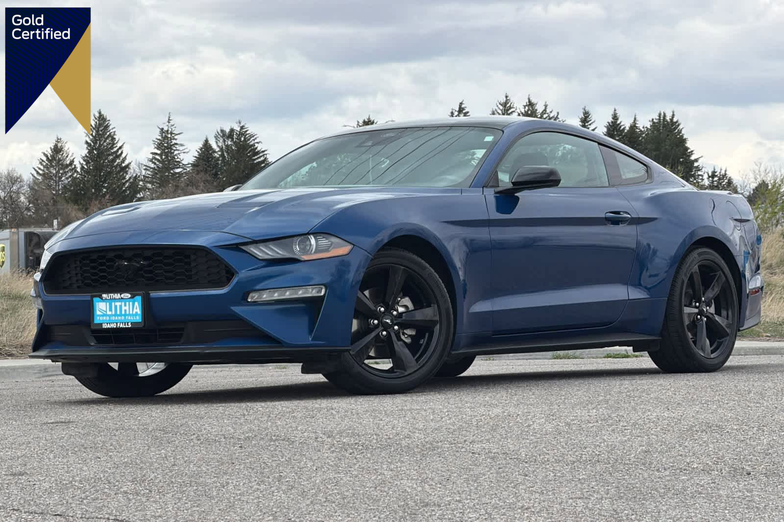 Certified 2023 Ford Mustang Coupe w/ Equipment Group 101A image 1